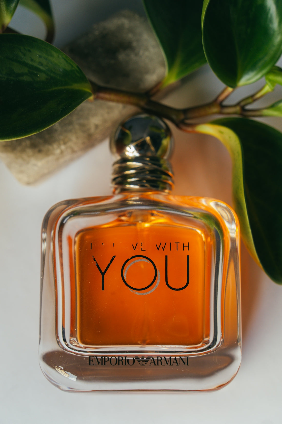 a bottle of perfume with a plant in the background