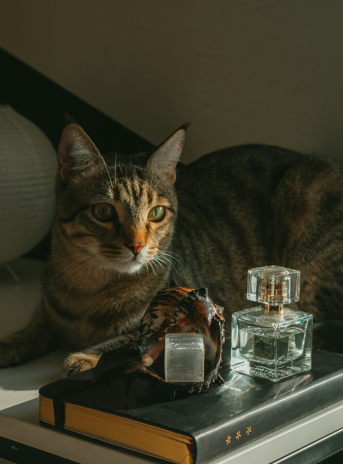 a cat laying on top of a table next to a bottle of perfume