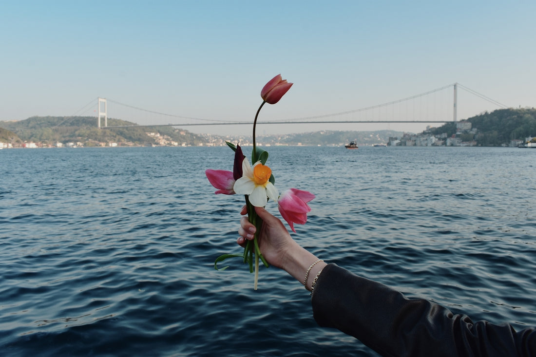 Hand holding flowers in front of a bridge and sea.