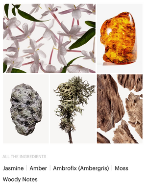 PARADOXE INTENSE