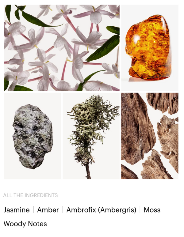 PARADOXE INTENSE