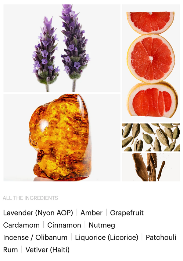 SAUVAGE ELIXIR