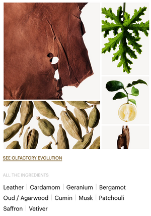 AFRICAN LEATHER