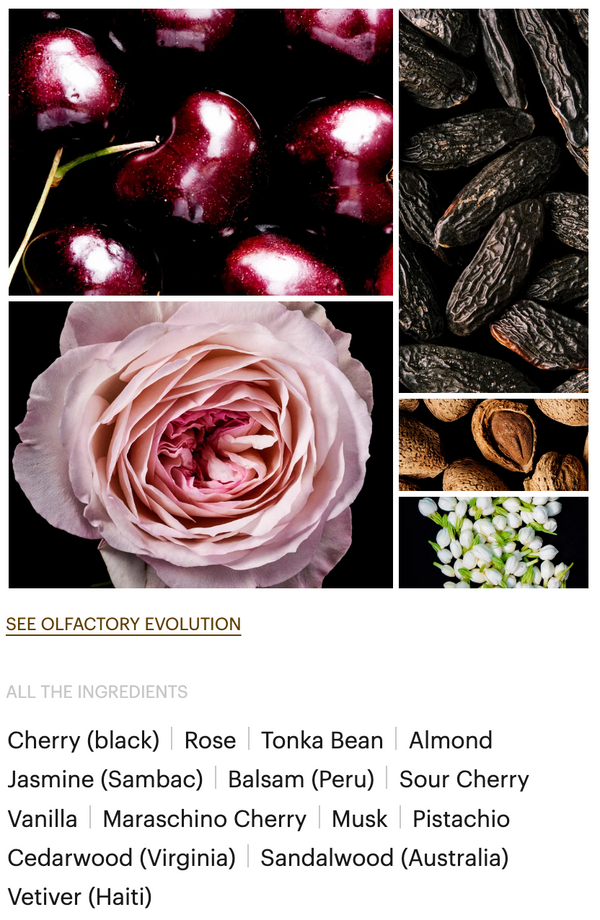 LOST CHERRY EXTRAIT DE PARFUM - Barroni Profumo
