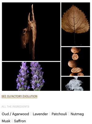 OUD FOR GREATNESS EXTRAIT DE PARFUM