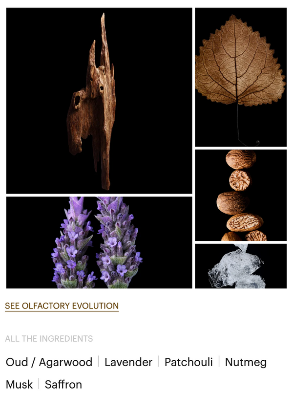 OUD FOR GREATNESS EXTRAIT DE PARFUM