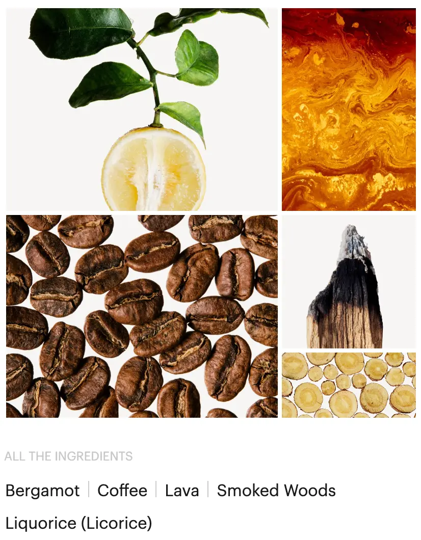 TERRE D.H EXTRAIT DE PARFUM - Barroni Profumo