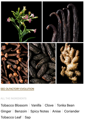 TOBACCO VANILLE